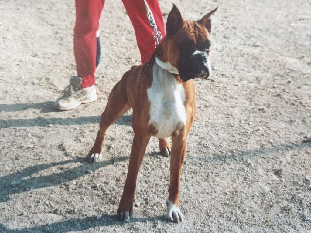 Helios du domaine des prés aux perches