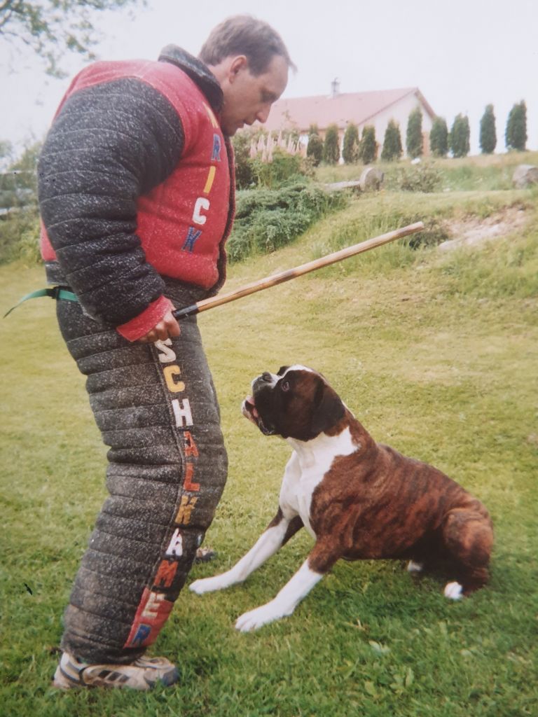 Nos boxers au travail